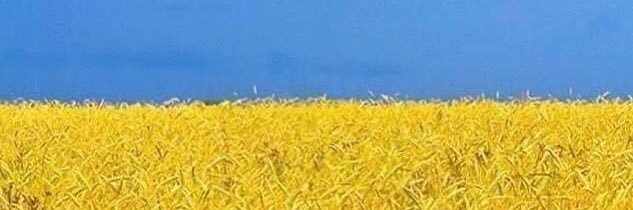 Y banner