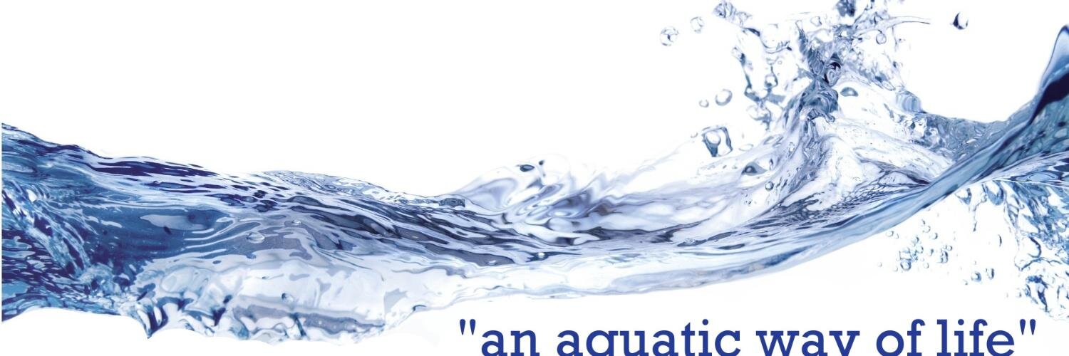 fishfishfishcom's profile banner image