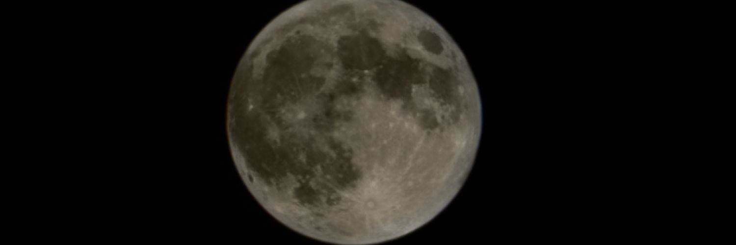 hamhamstars's profile banner image