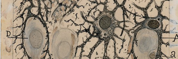 NeuroClinPsyc Profile Banner