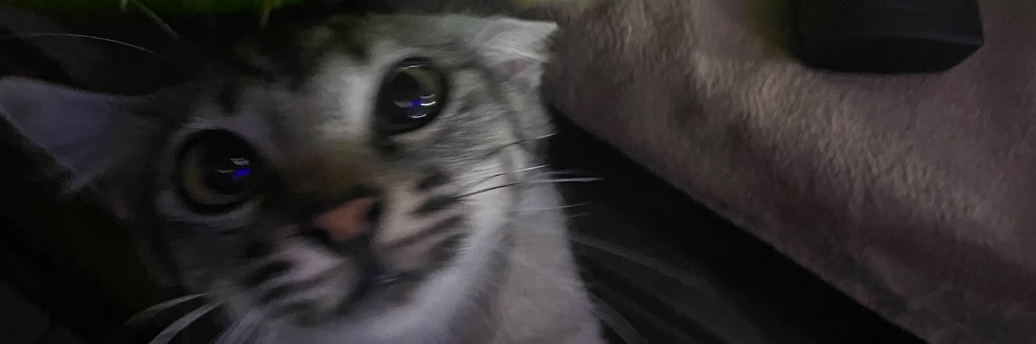 ainabhb10's profile banner image
