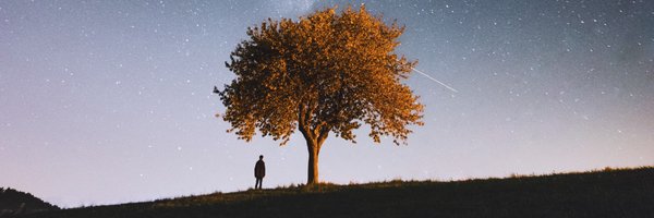 jester_ Profile Banner