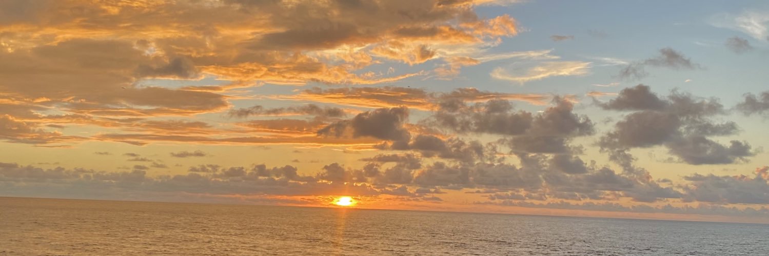 lauraavc's profile banner image