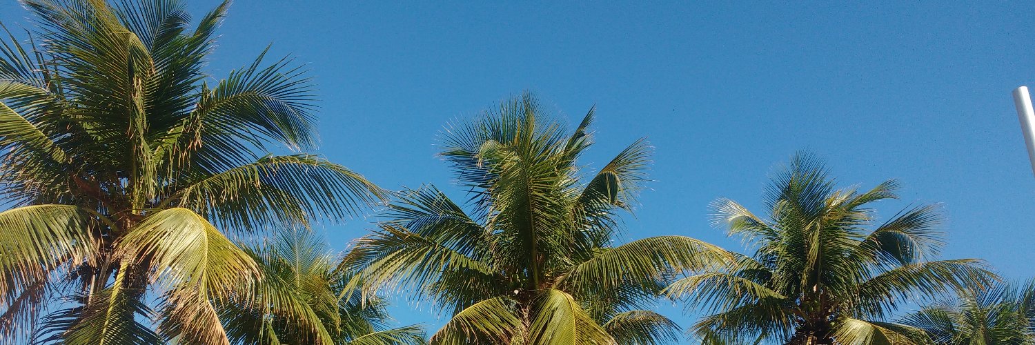 ale banner