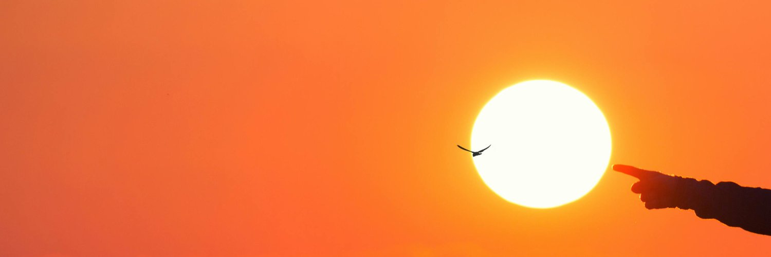 ankaazmrt's profile banner image