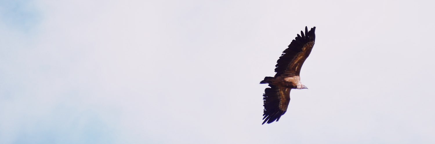Cristina Seco banner