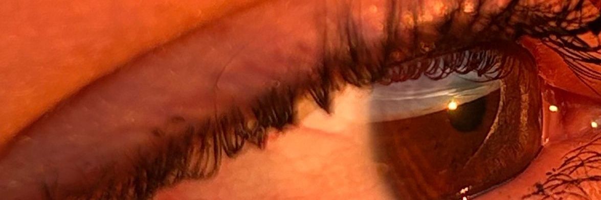 acribeiro6's profile banner image