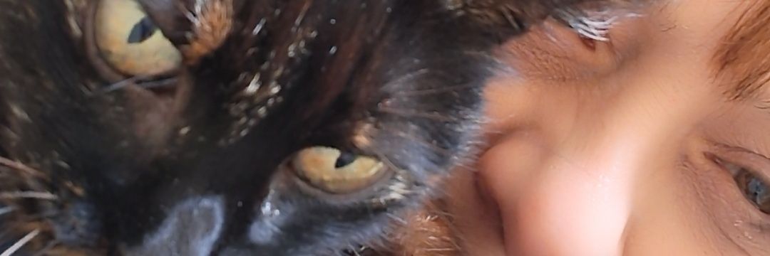 Dania🐱🎈's banner