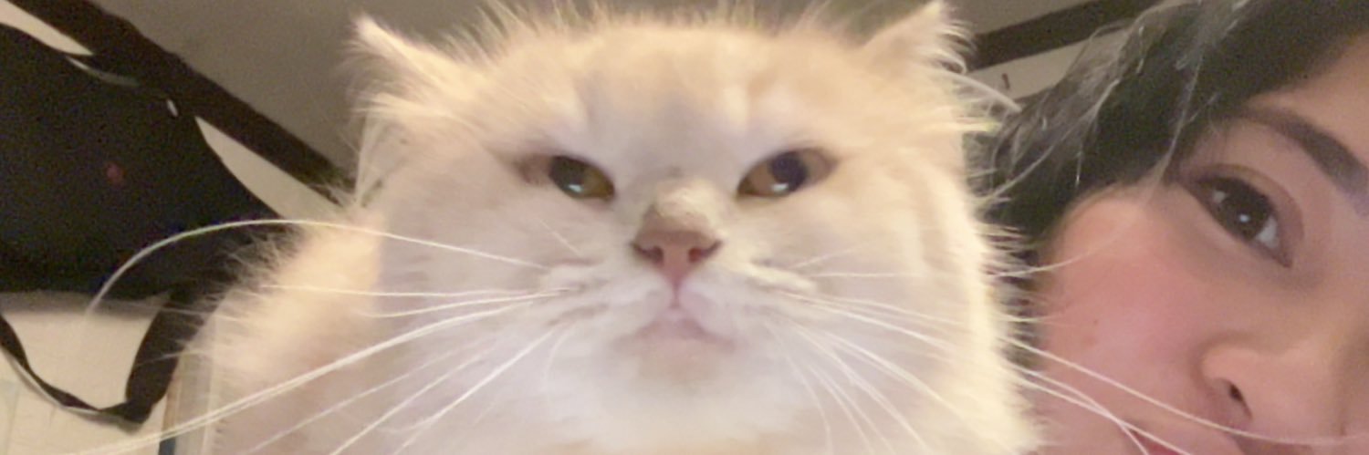 saintdyyy's profile banner image