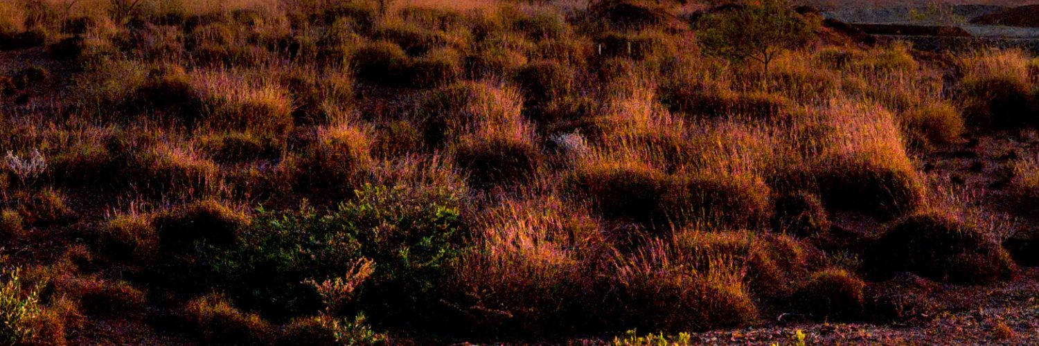 Graham Arvidson banner