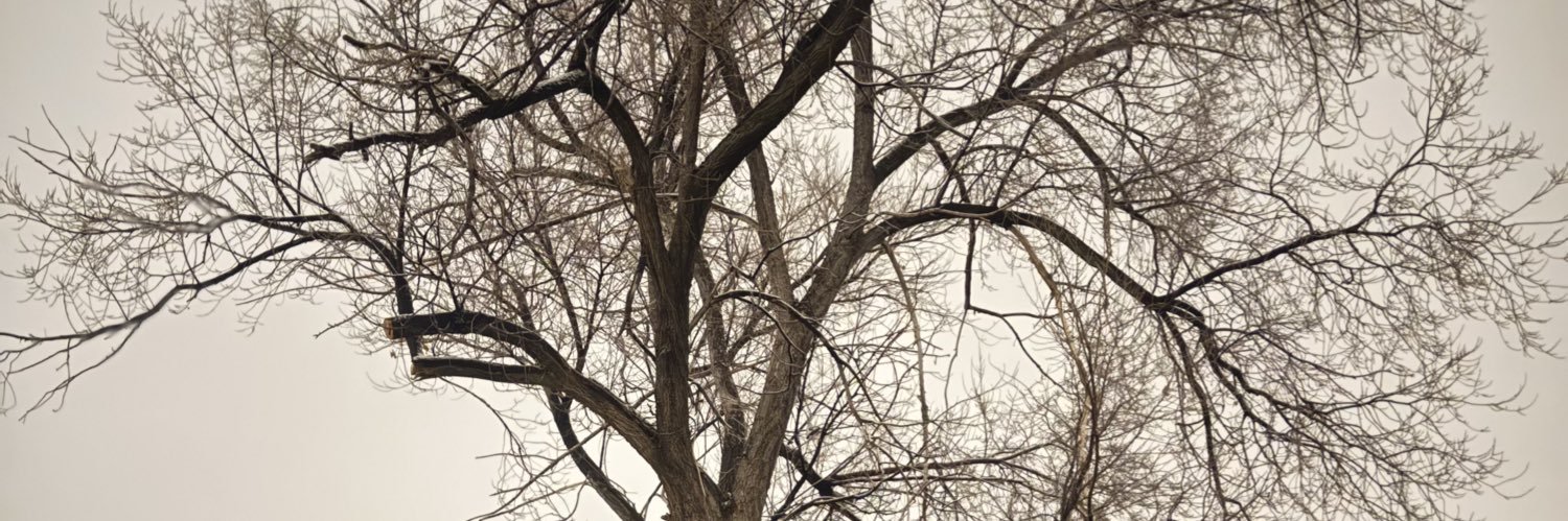 rainworld netizen banner