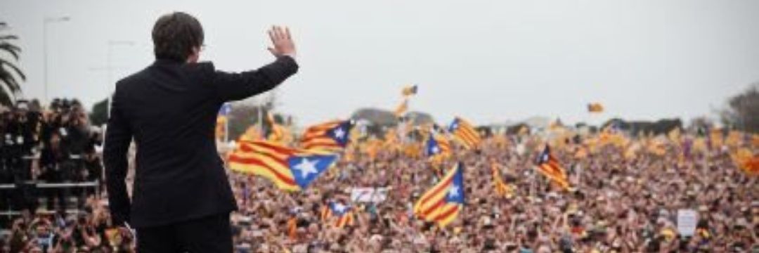 fir1973's profile banner image