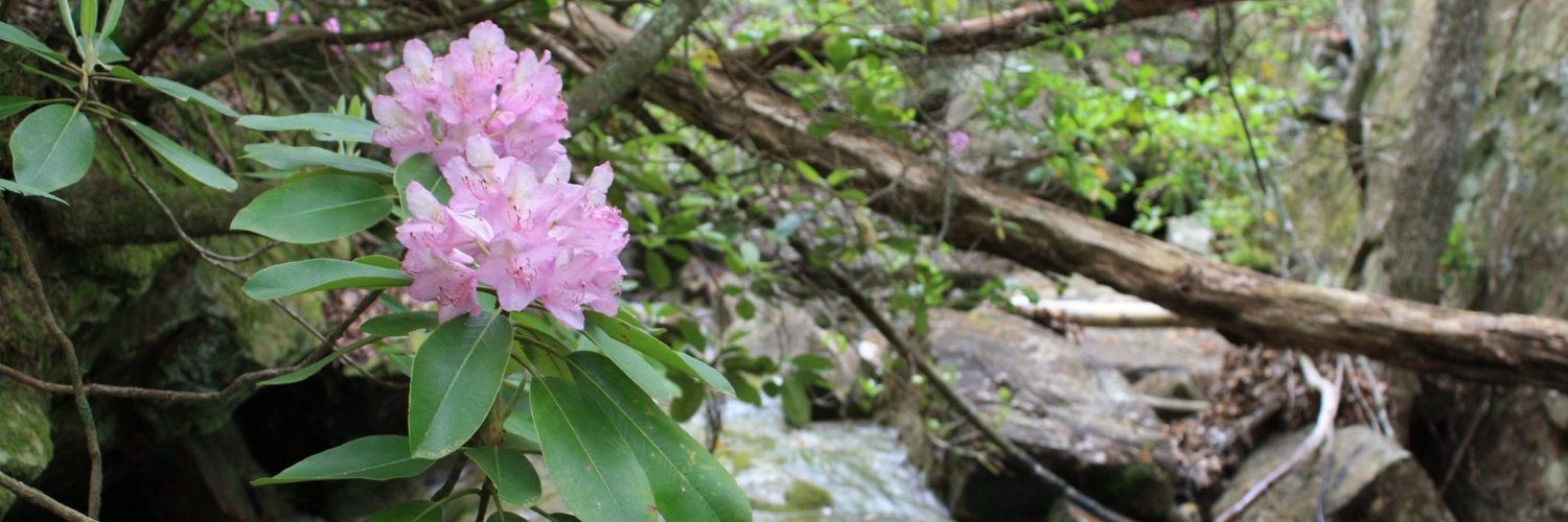 DeSotoStatePark's profile banner image