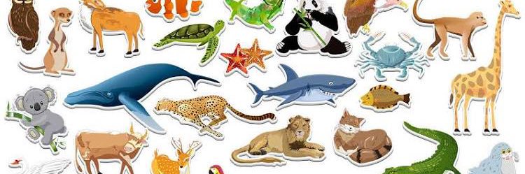 SAVE THE DOLPHINS & WHALES Ⓥ banner