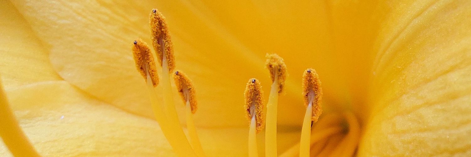 andaningrum's profile banner image