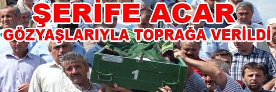 Serife_Acarr's profile banner image