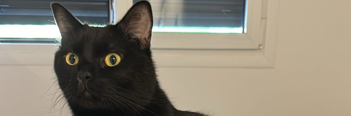 22Noee_'s profile banner image