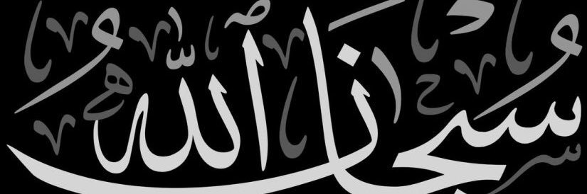 ali41461's profile banner image