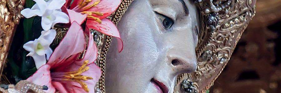 Estefanía banner