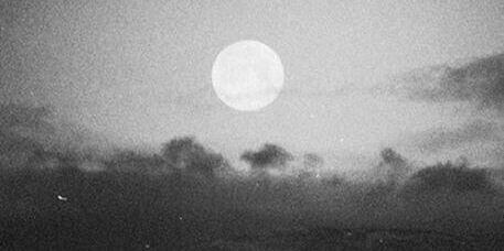 niallljslaugh's profile banner image