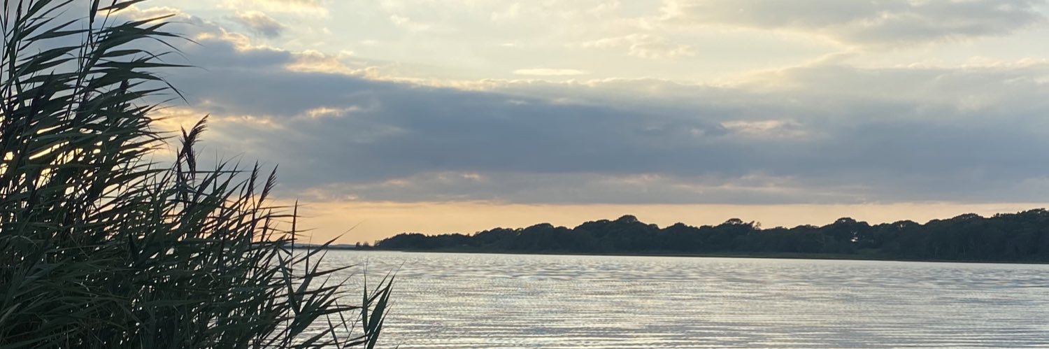 kyliecrist's profile banner image