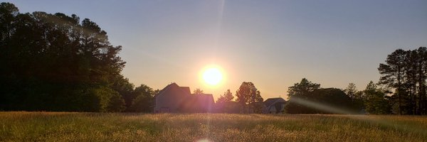 the_dave_r Profile Banner