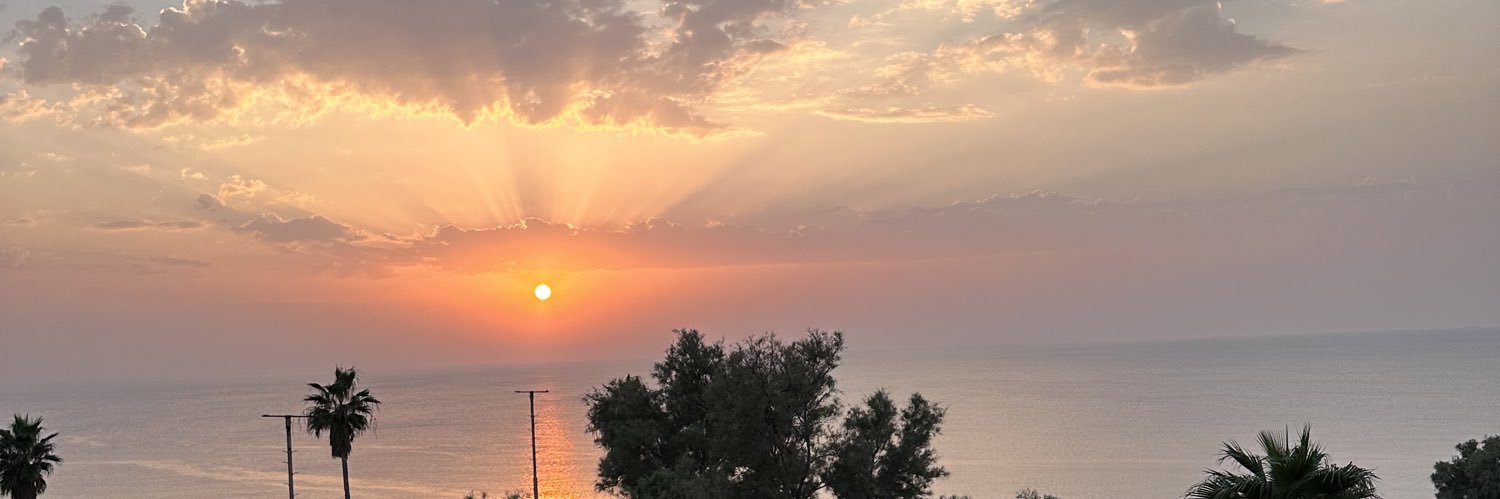 tsonenfield's profile banner image