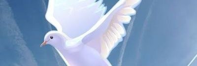 OlagoldPrecious's profile banner image
