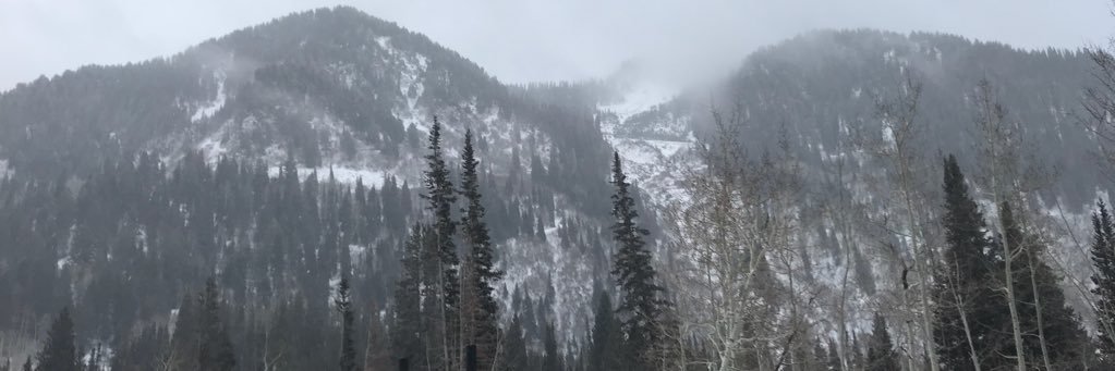 williifre's profile banner image