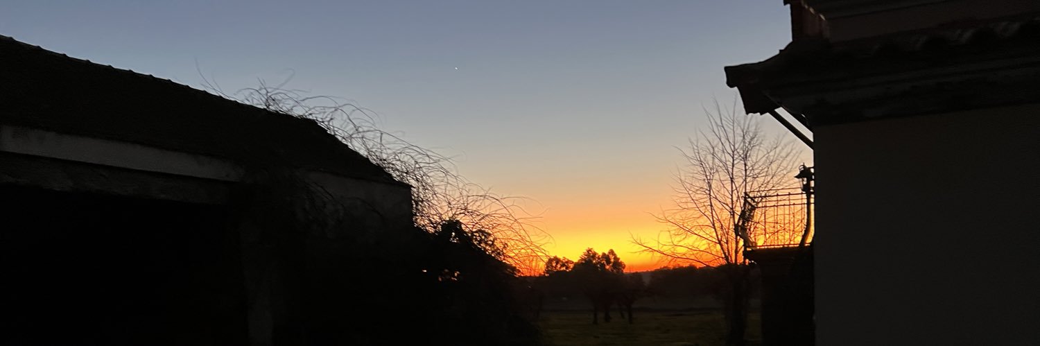 Audra McDonald banner
