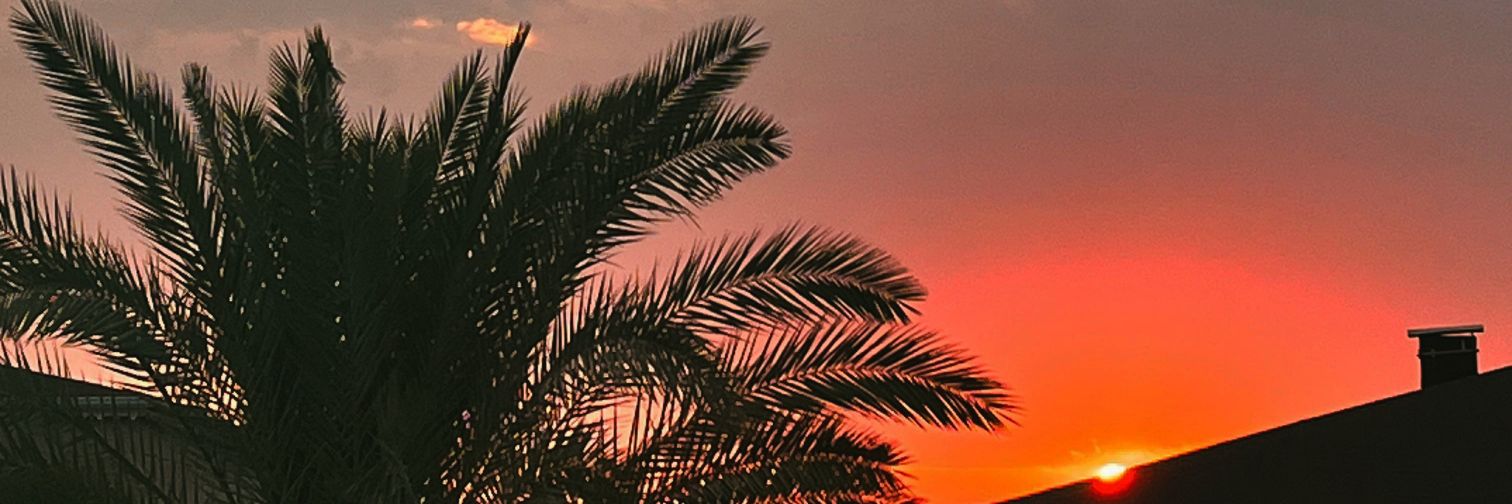 iceandas's profile banner image