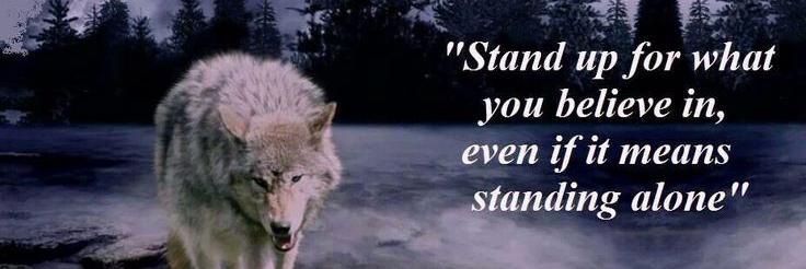 Damien H 🇨🇦🇮🇪 banner