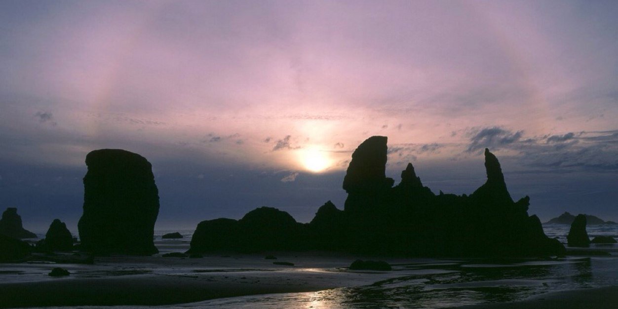 Jonathan Marriott banner