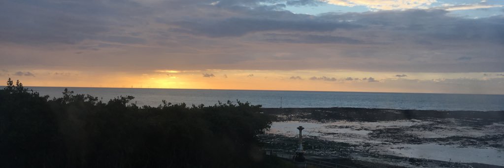 ariadnaramos__'s profile banner image