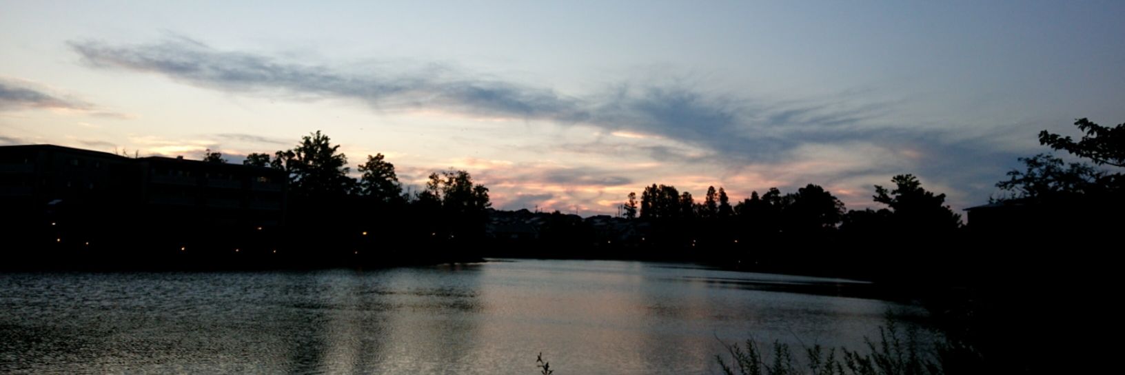 chjnyj's profile banner image
