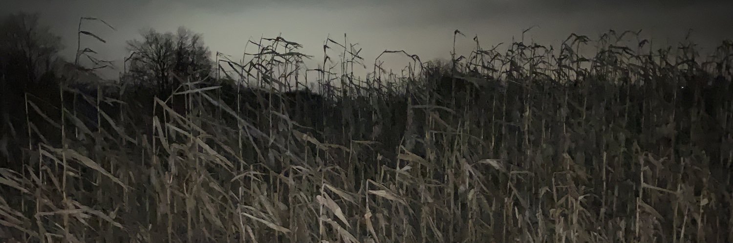 hÁnna Báiréad 𓃗 banner