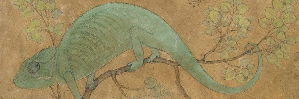 roy_showmo's profile banner image
