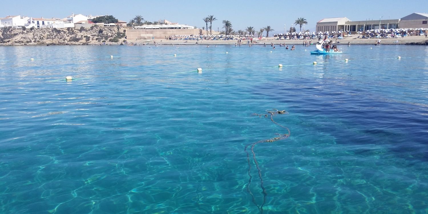 Maria Cartagena banner