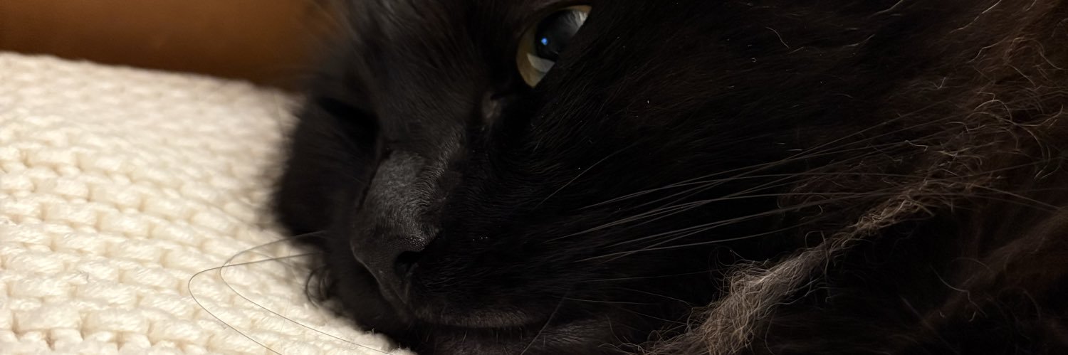 hellabrownies's profile banner image