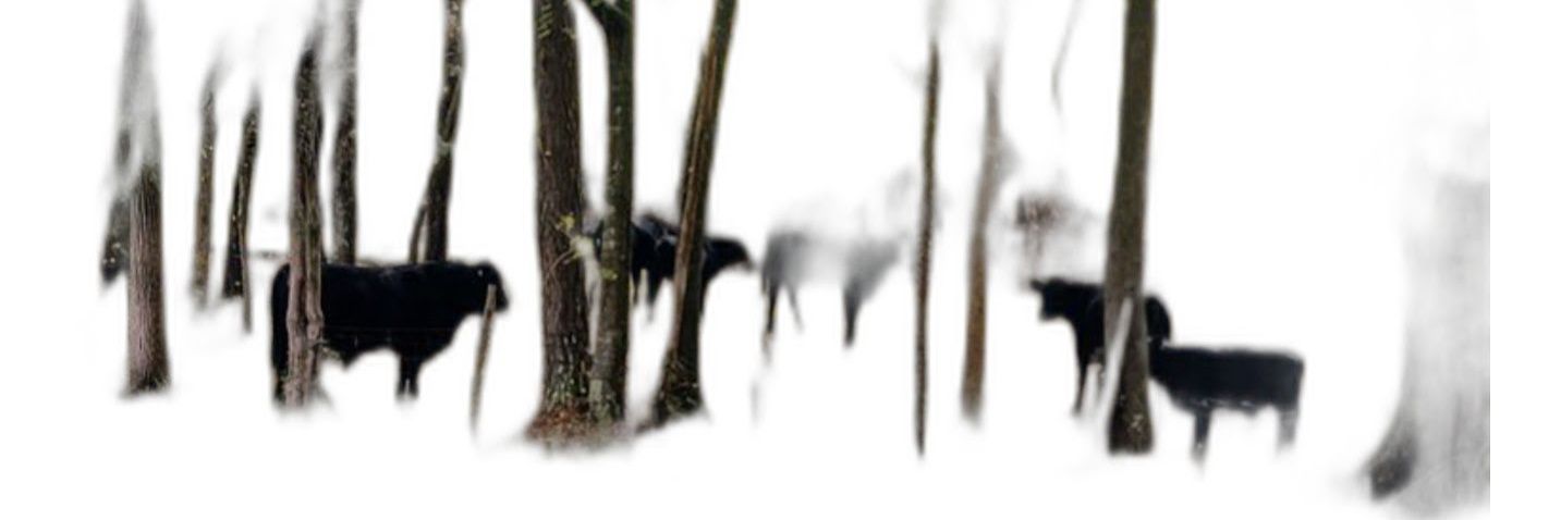 goober601's profile banner image