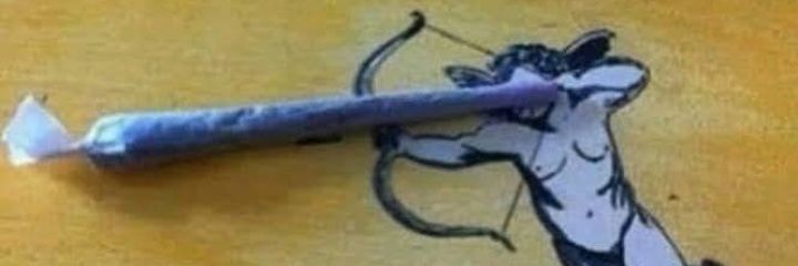 cocainexl's profile banner image