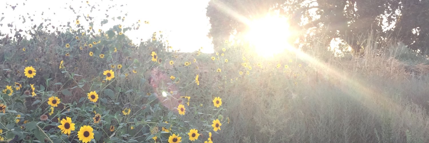 little_coit23's profile banner image
