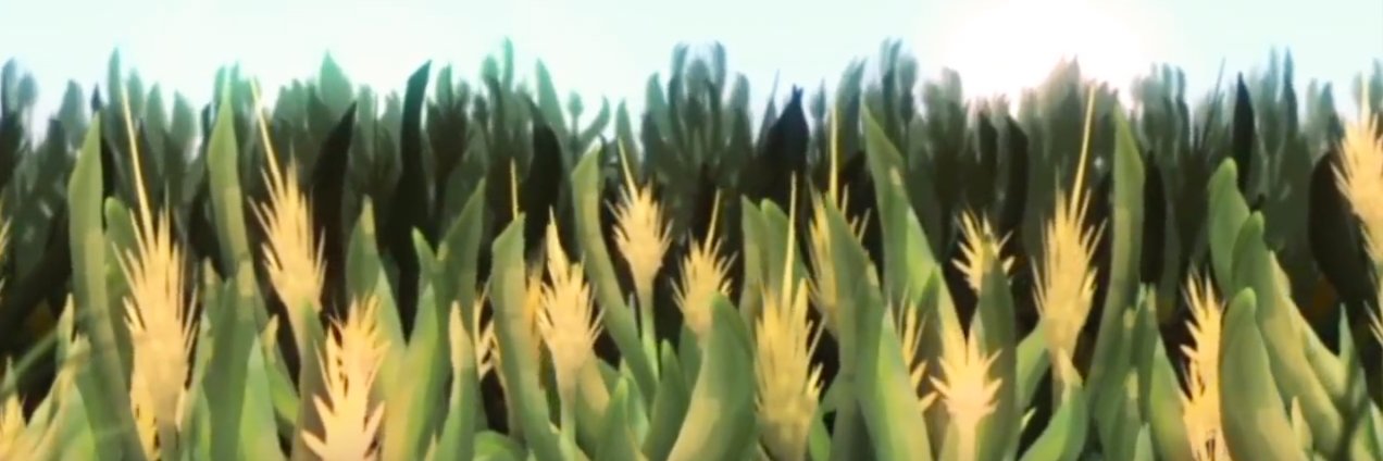 ThePaisleyField's profile banner image
