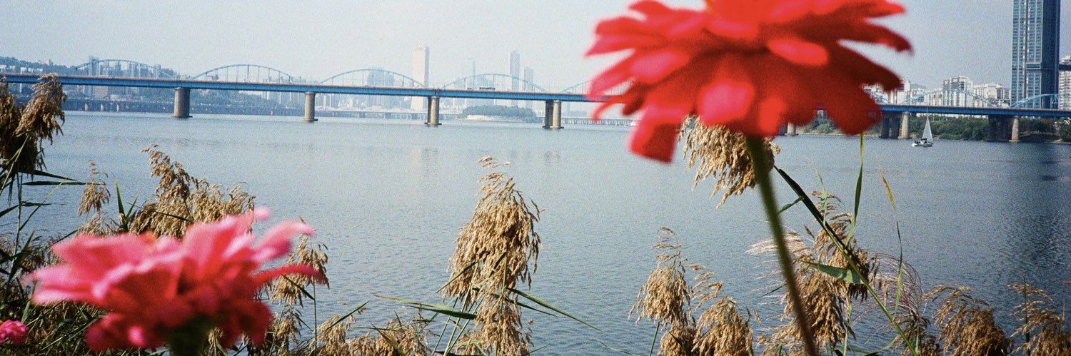 𝓮𝓵𝓵𝓮ล์🐈‍⬛ banner