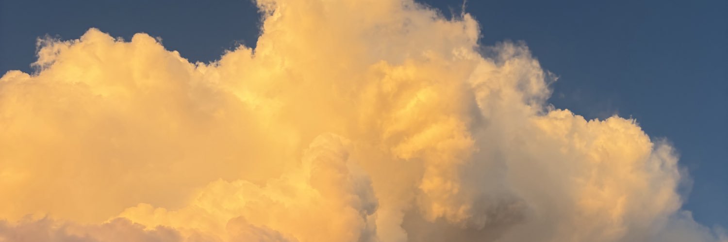 Skjervenn's profile banner image