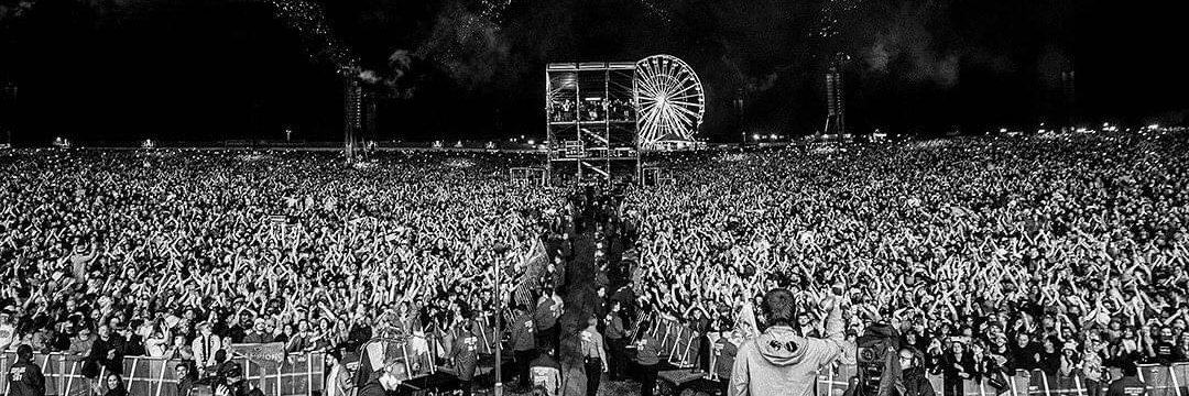 David Morrissey banner