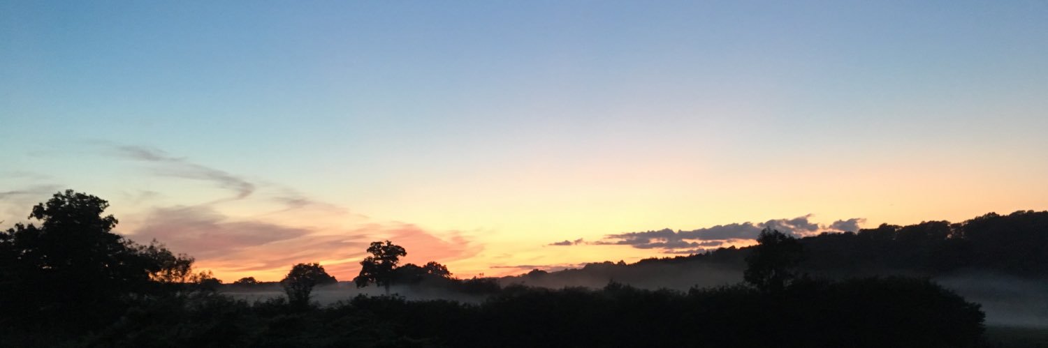 AliHazelden's profile banner image