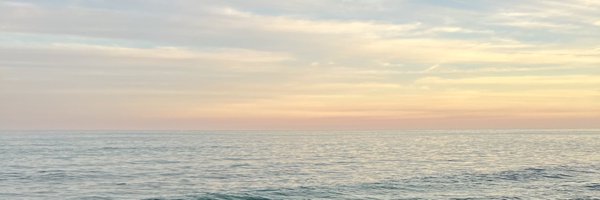 reesebodas Profile Banner