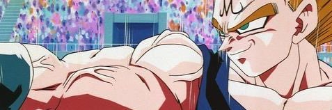 Principe Vegeta banner