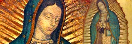 nelabeck's profile banner image
